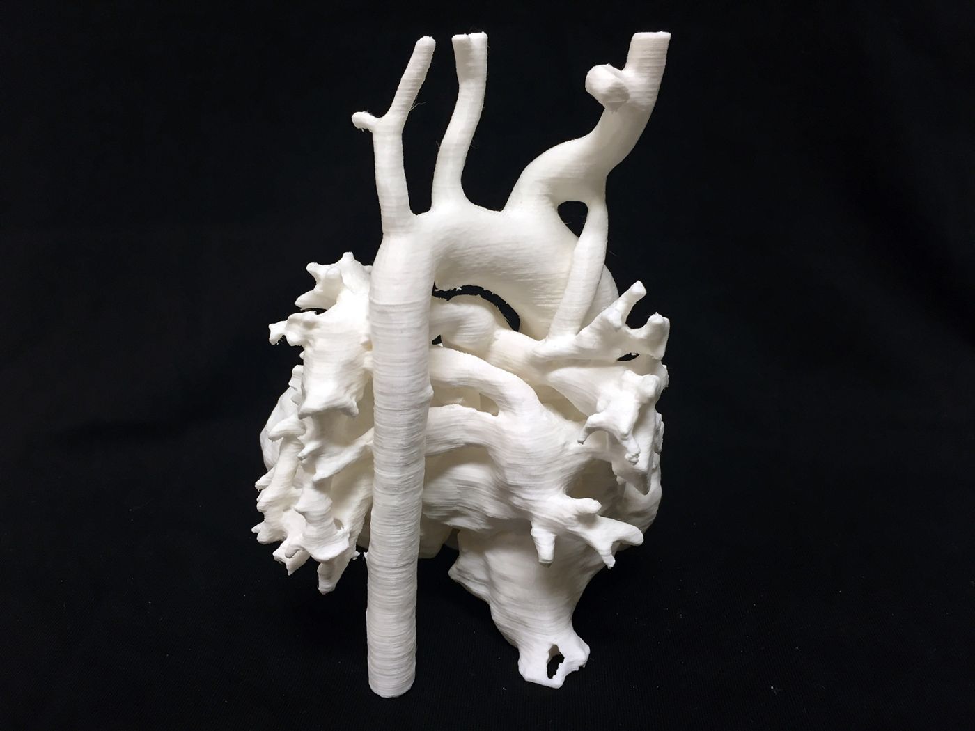 Ein weisses 3-D-Modell