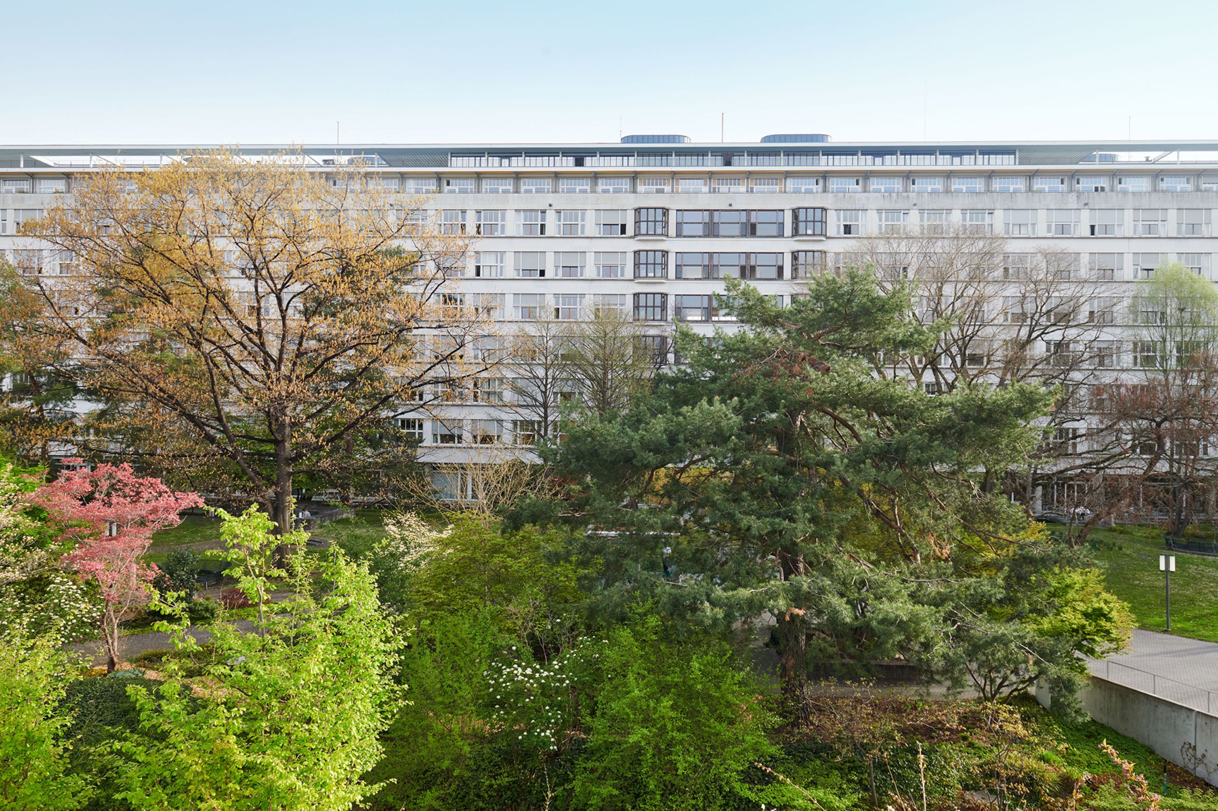 Clinique 1 de l'Hôpital universitaire de Bâle, vue depuis la cour intérieure