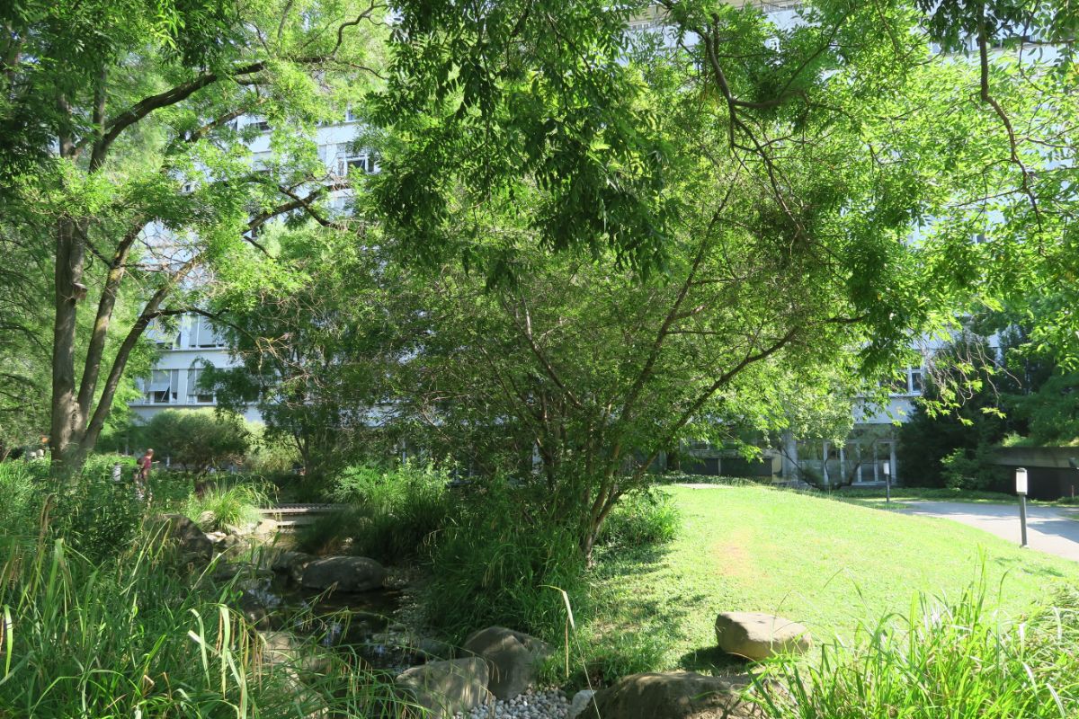 Vue sur le jardin de l'hôpital universitaire de Bâle