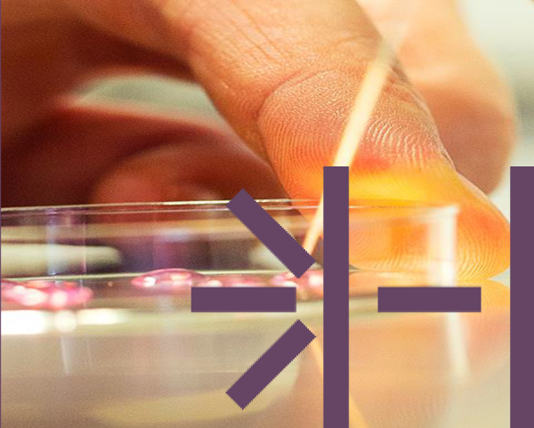 Labormedizin Update 2/2025 – Transportmedium steht auf dem LOE-Etikett