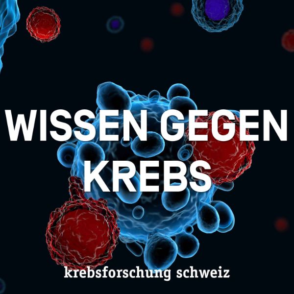 Durch neuartiger Therapie mit Checkpoint-Inhibitoren Krebs bekämpfen