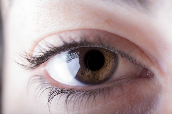 Forscher haben eine hocheffiziente Gen-Editierung-Therapie entwickelt, die möglicherweise die Stargardt-Krankheit, die häufigste Form der vererbten Makuladegeneration, behandeln könnte. Diese bahnbrechende Studie, die am 8. Januar 2025 in Nature Medicine veröffentlicht wurde, demonstriert den therapeutischen Einsatz einer präzisen Gen-Editierung Technologie namens Base Editing.